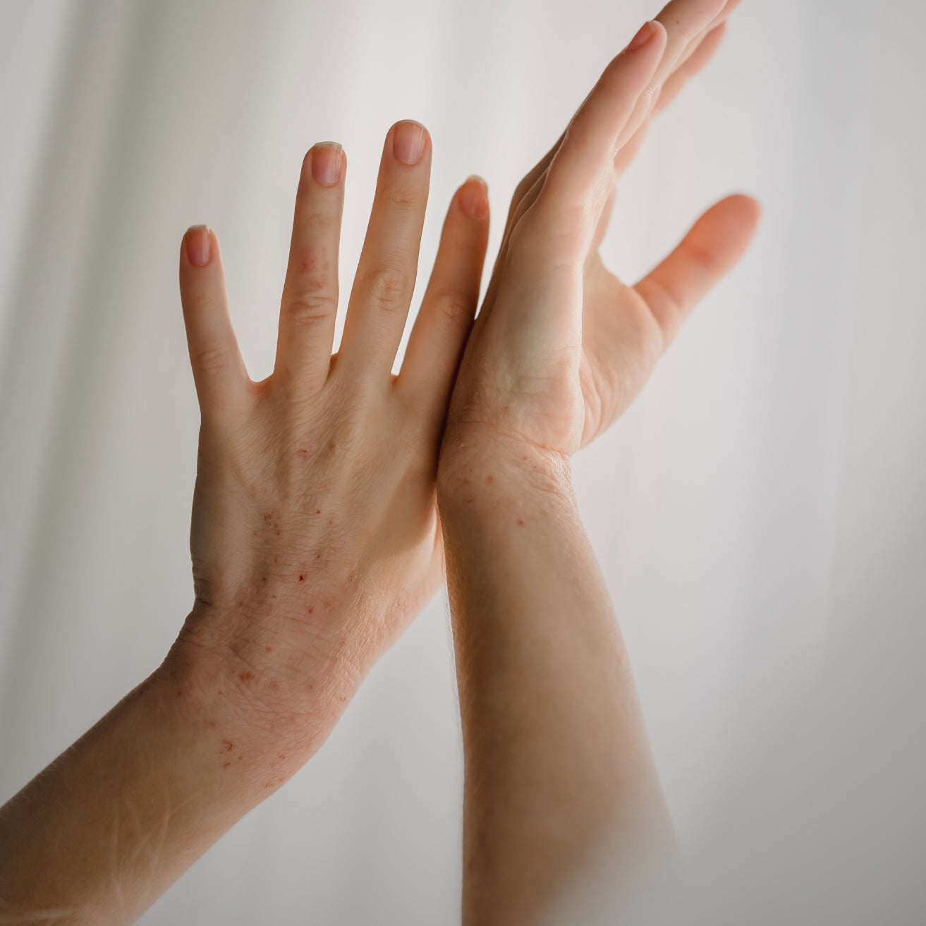 Can Ancient Herbs Weave Their Way Into Your Wellness?