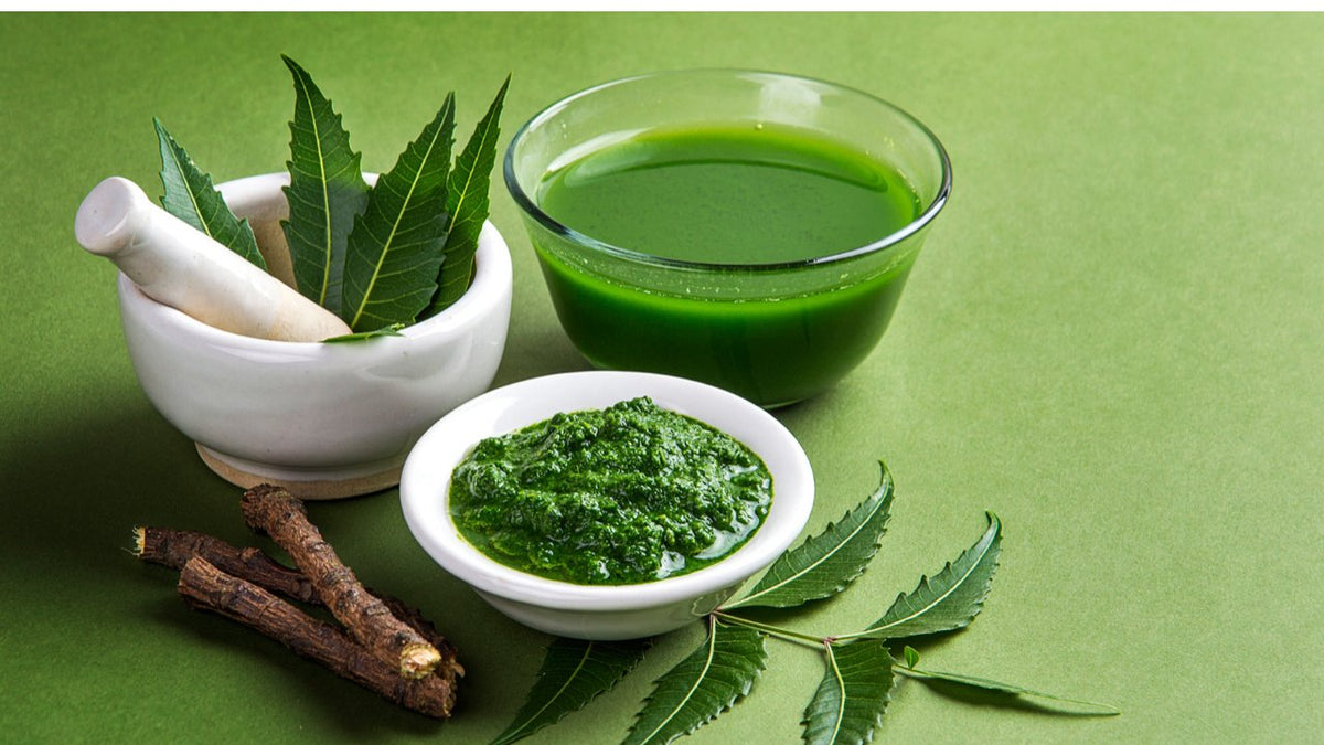 Neem: Nature's Healing Secret Unveiled - Herbally